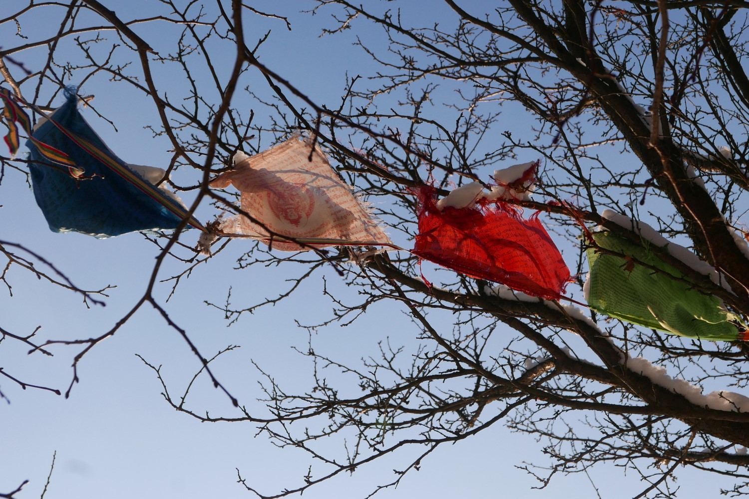 Weekend z jogą w Sopatowcu