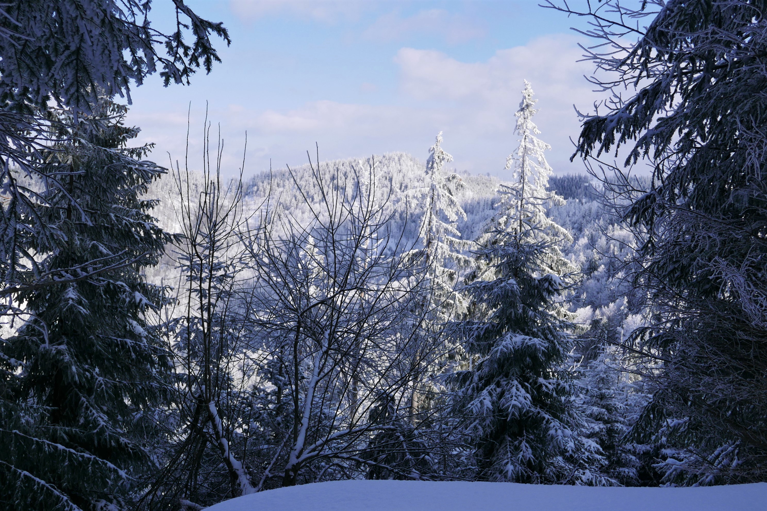 Weekend z jogą w Sopatowcu