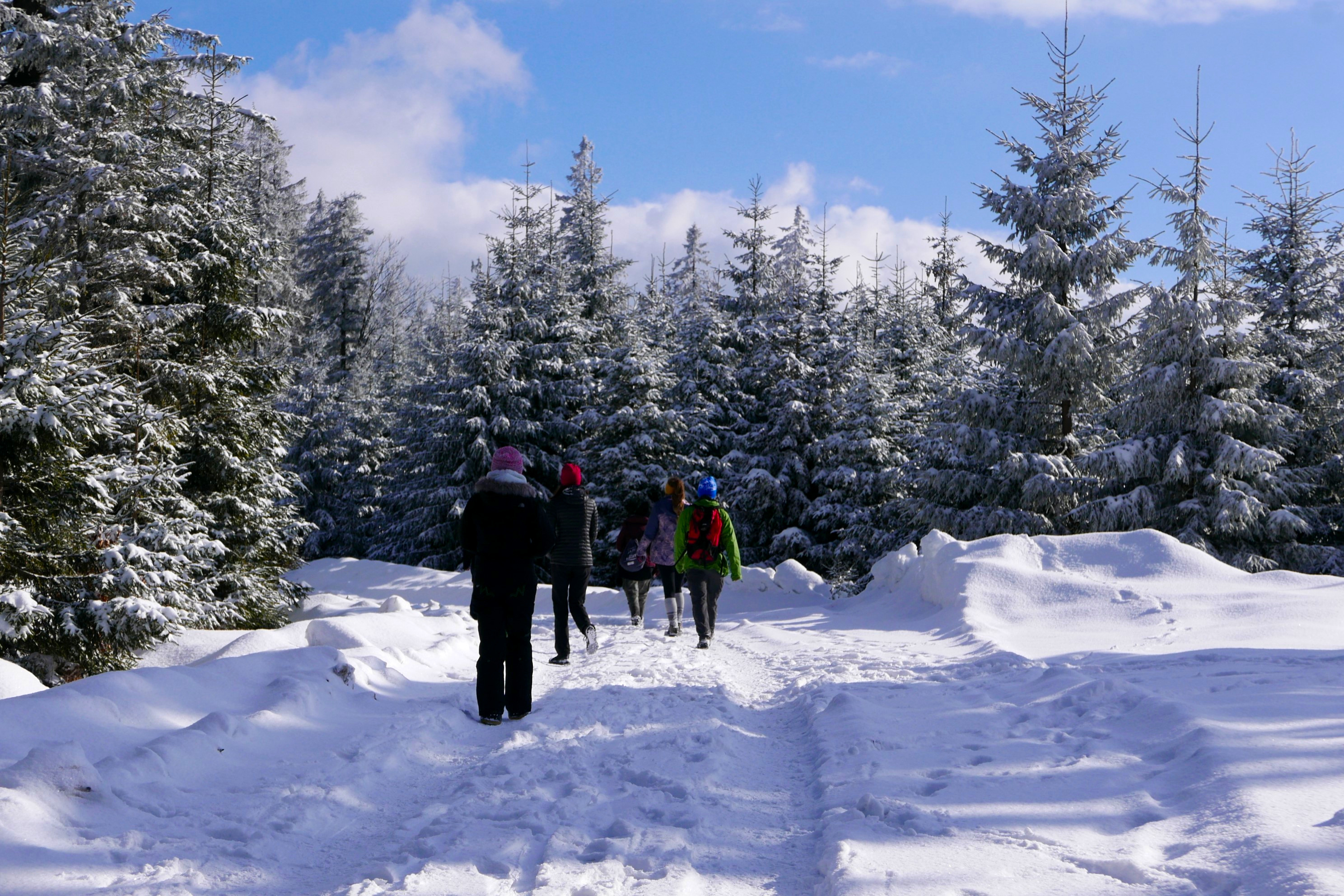 Weekend z jogą w Sopatowcu