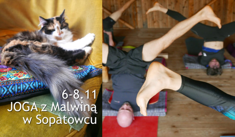 Joga w Sopatowcu, 6 – 8.11