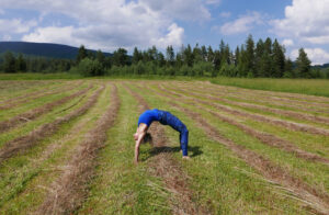 Kurs Początkujący PLUS od 3.02